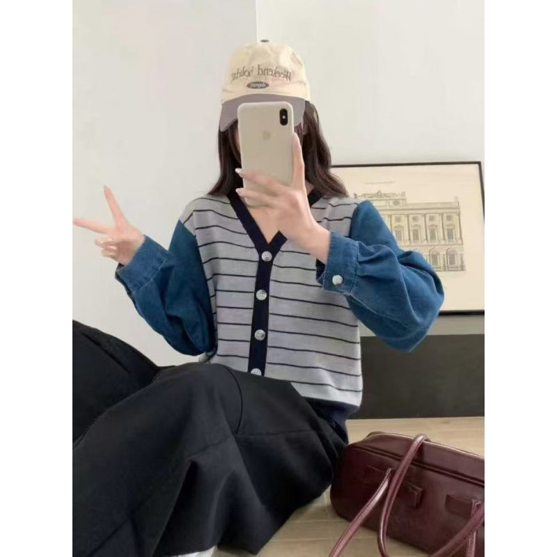 스트라이프 데님 디테일 브이넥 스웨터 | CHAVI